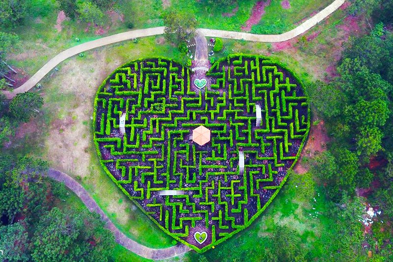 Dalat-Valley-of-Love-1